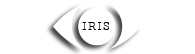 IRIS - Intelligent Reporting